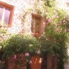 IMG_0082 (Custom)